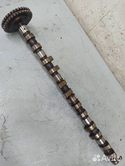 Распредвал выпускной Mercedes W140 S