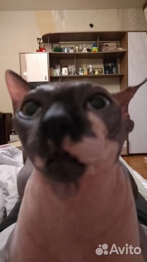 Отдам маятниковую детскую кровать