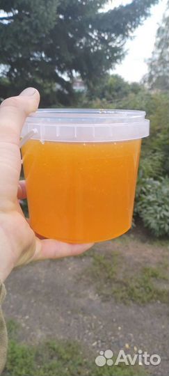 Мед подсолнечный оптом