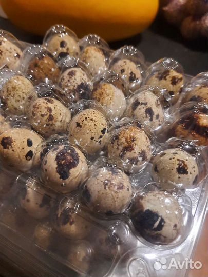 Яйца перепелиные домашние