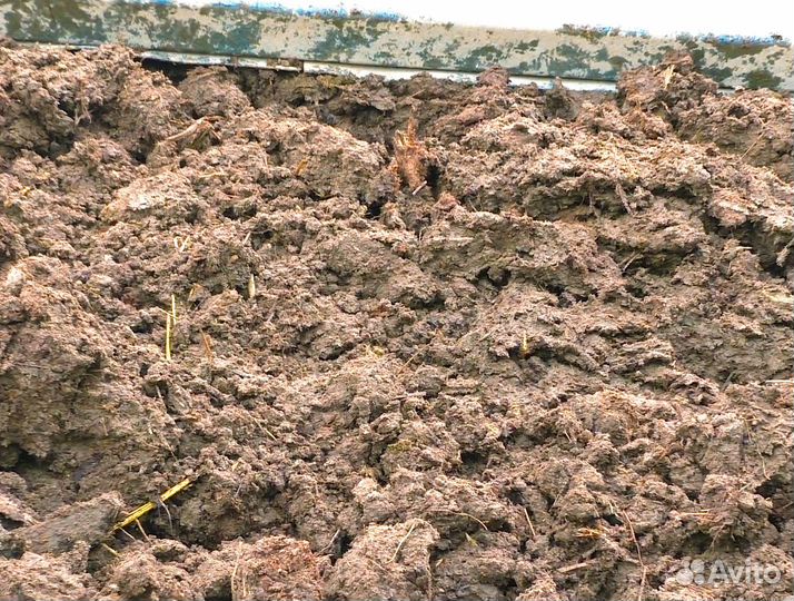 Перегной коровий перепревший навоз от 4 кубов