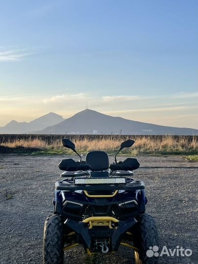 Квадроцикл motoland wild track x pro 300