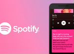 Spotify / 12 месяцев / Premium
