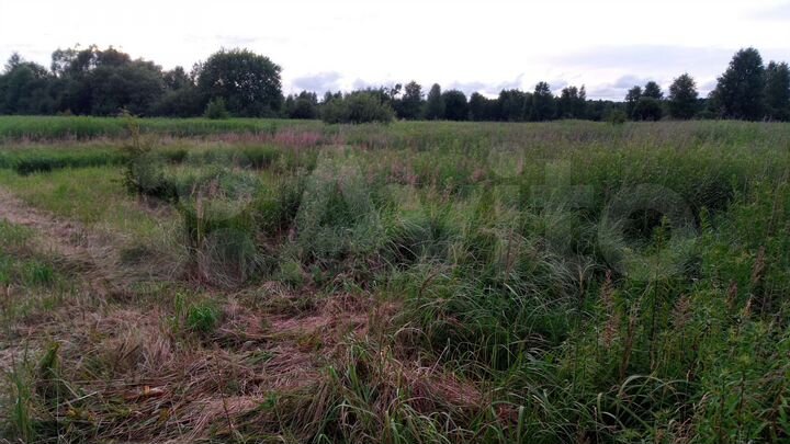 Участок 14,8 га (ИЖС)