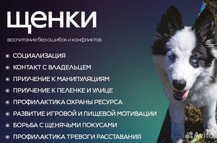 Инструктор-кинолог. Индивидуальные занятия