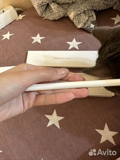 Apple pencil 2nd generation