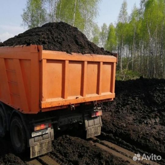 Чернозём