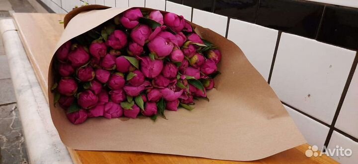 Пионы свежий срез. Новая поставка. Опт розница
