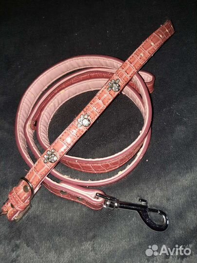 Ошейник для собак, одежда для собак