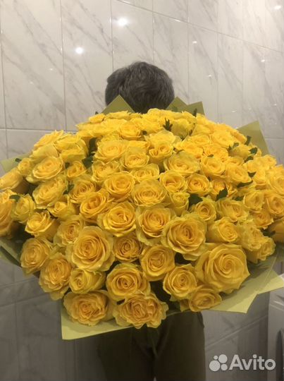 Цветы розы 101 желтая