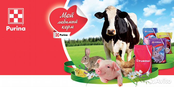 Корма для животных