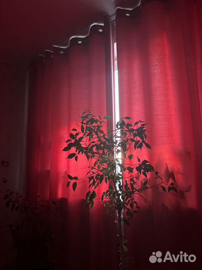 Шторы на люверсах