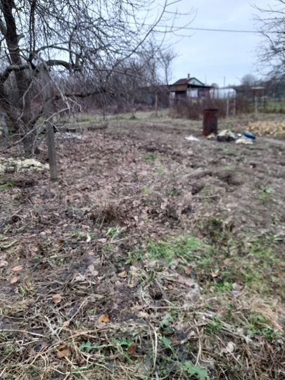 Участок 5,5 сот. (СНТ, ДНП)