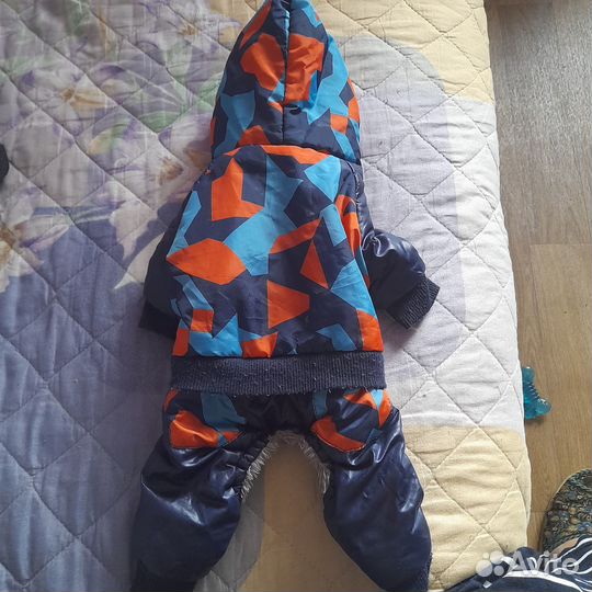 Одежда для маленьких пород собак