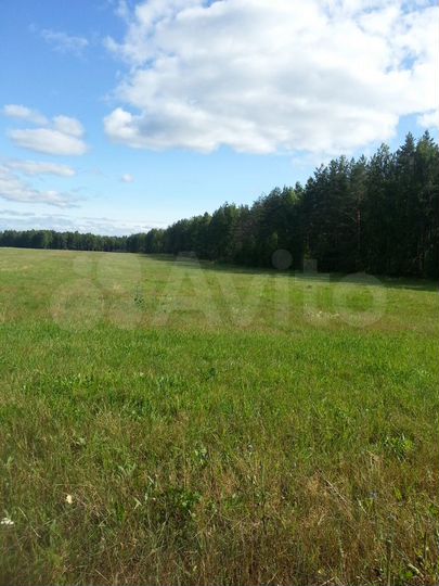 Участок 4,3 га (СНТ, ДНП)