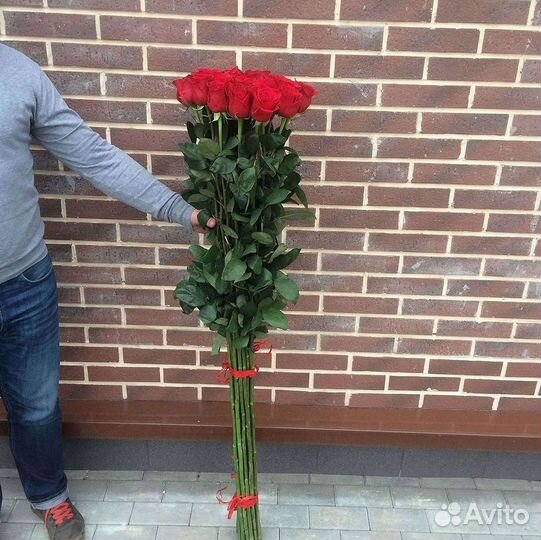 Розы Букеты Цветы Розы 31 101 151 201 Доставка