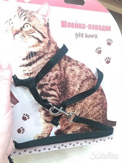 Шлейка для кошки