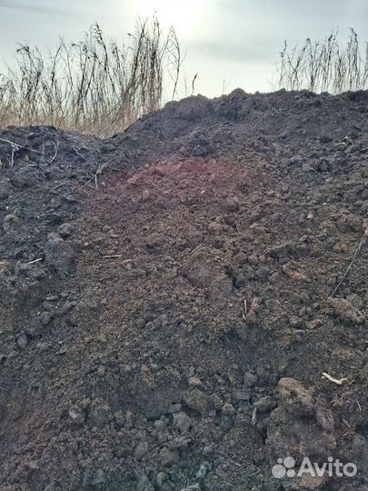 Перегной из под грибов шампиньонов