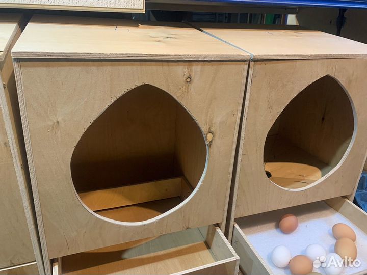 Гнездо для кур несушек с яйцесборником