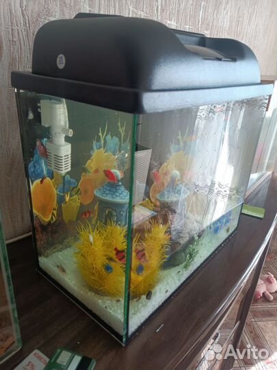 Аквариум 25л с рыбками