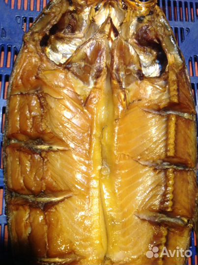 Толстолобик, жерех х/к