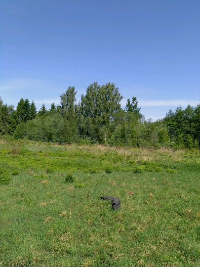 Участок 30 сот. (ИЖС)