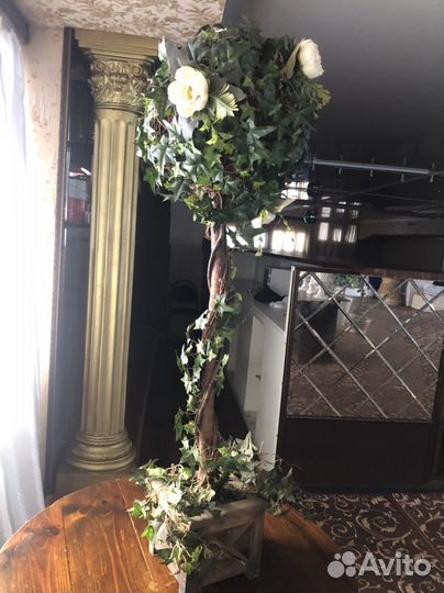 Декоративное растение Высота 1,1.2м