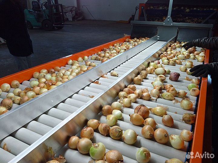 Стол роликовый ср4514 для картофеля, лука, моркови