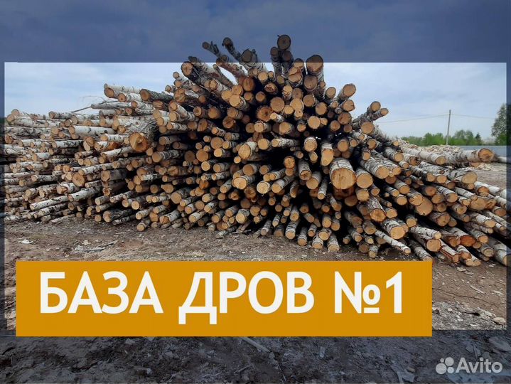 Дрова сухие