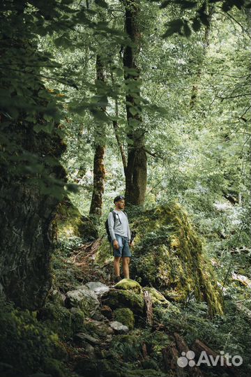 Гид-проводник Красная Поляна Походы Треккинг