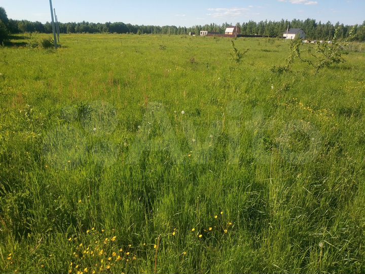 Участок 14,5 сот. (ИЖС)