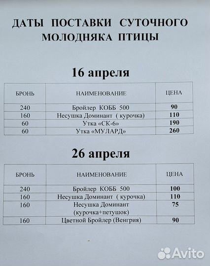 Молодняк птицы