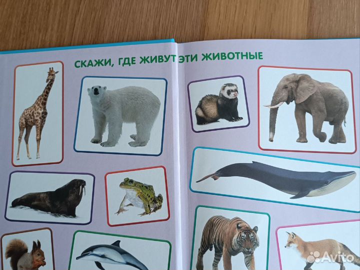 Детская книга про животных