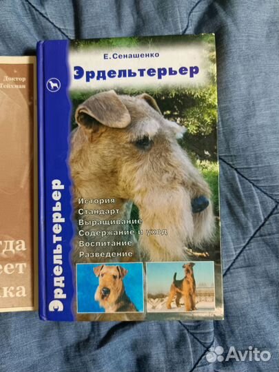 О домашних животных