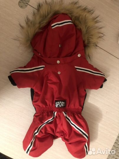 Комбинезон для мелкой собаки