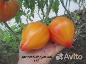 Семена томатов