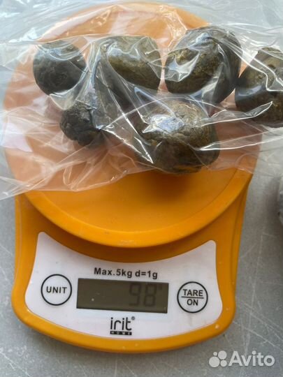 Прополис пчелиный