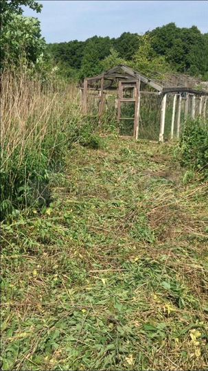 Участок 7 сот. (СНТ, ДНП)