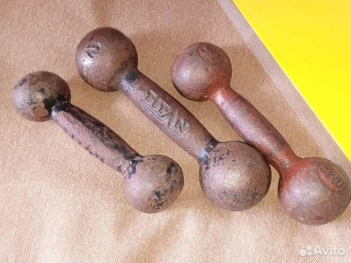 Гантели весы (Садовая