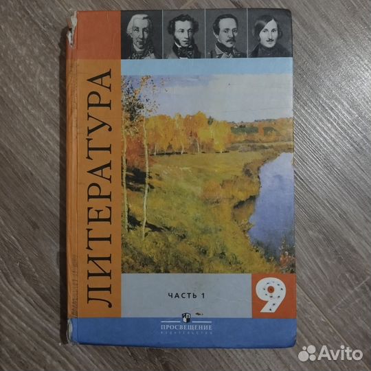 Литература 9 класс