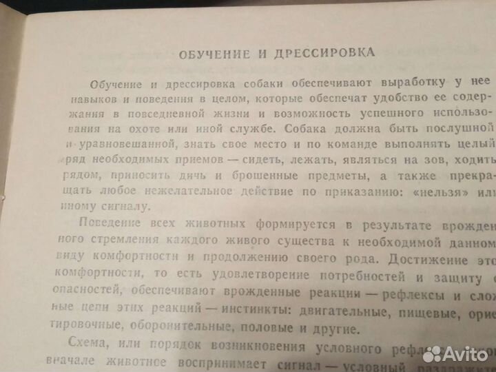 Щенок в вашем доме