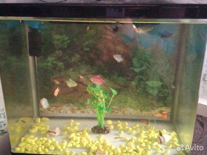 Аквариум с тумбой