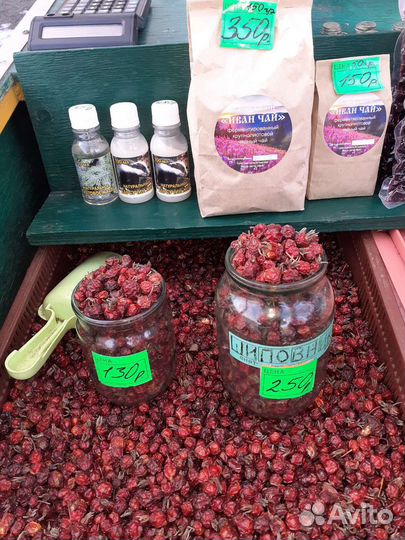 Клюква, брусника и др. ягоды
