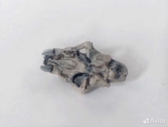 Модель черепа монстра