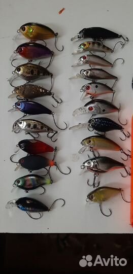 Воблеры pontoon 21 jackall