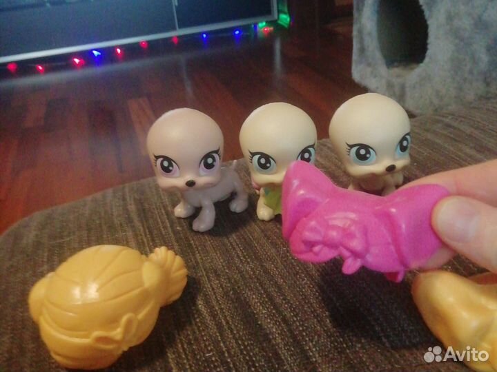 Свит боксы и три собачки