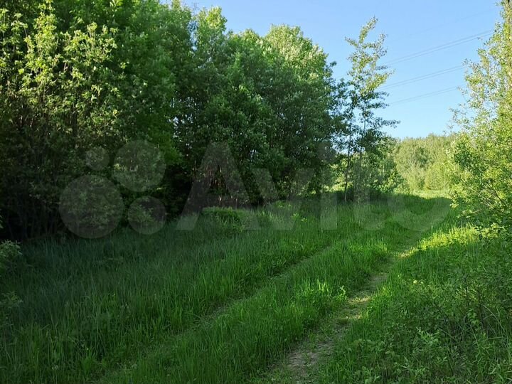 Участок 12 сот. (СНТ, ДНП)