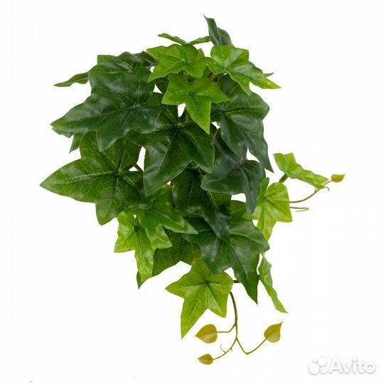 Декоративные ветки