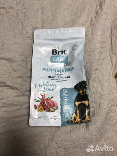 Сухой корм для собак Brit Care Superpremium