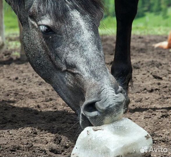 Кормовая соль-лизунец